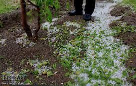 خسارت بارش تگرگ در سراب