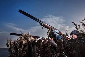 شکارچی غیرمجاز، شکار همراهش شد