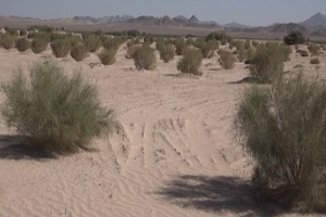 پایلوت مدیریت جامع حوزه آبخیز در شهرستان زرند