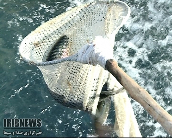 اختصاص 132میلیارد تومان تسهیلات اشتغال‌زایی به مددجویان امداد