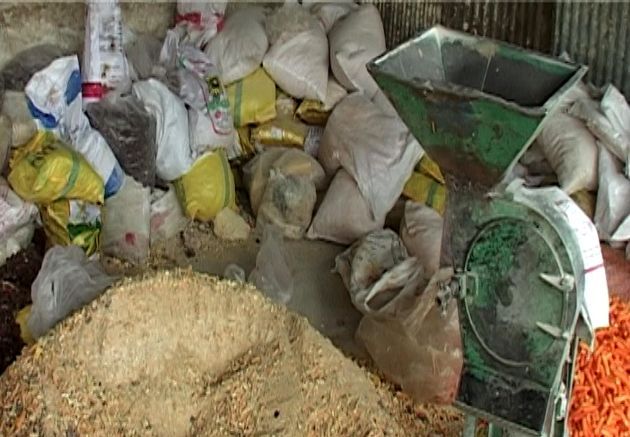 معدوم سازی خوراک دام تاریخ گذشته در چادگان