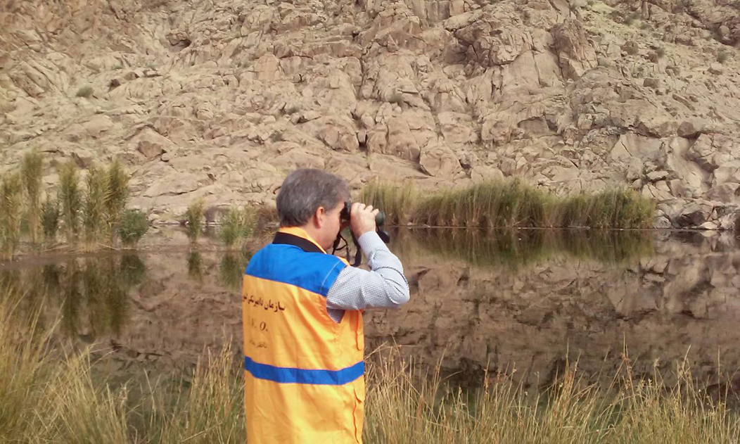 طرح پایش بیماری آنفولانزای پرندگان در کرمانشاه اجرا می‌شود