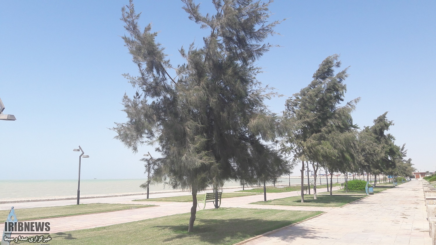 کاهش دما در استان بوشهر/ کشاورزان مراقب باشند