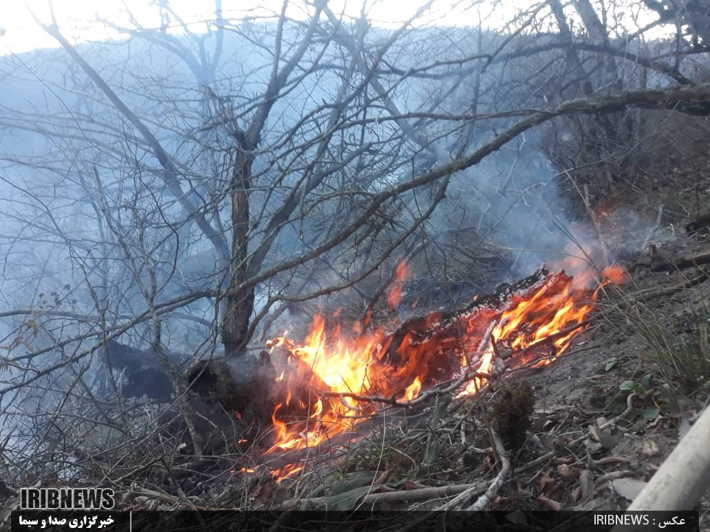 آتش در پارک ملی گلستان