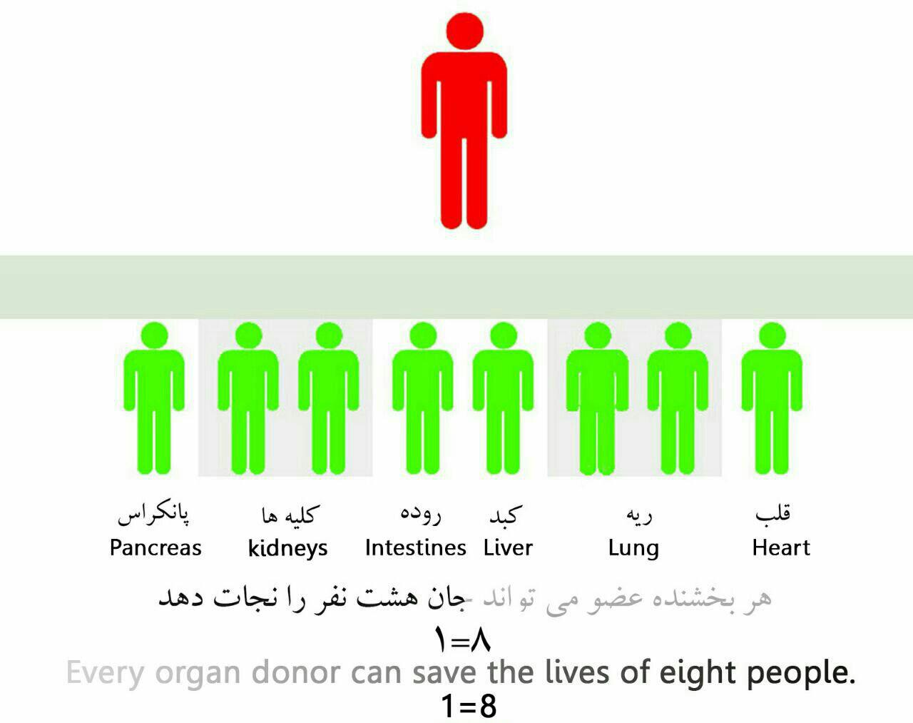 سلام زندگی//لطفا منتشر نشود