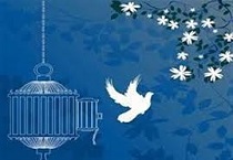 آزادی زندانیان جرایم غیر عمد با کمک خیرین