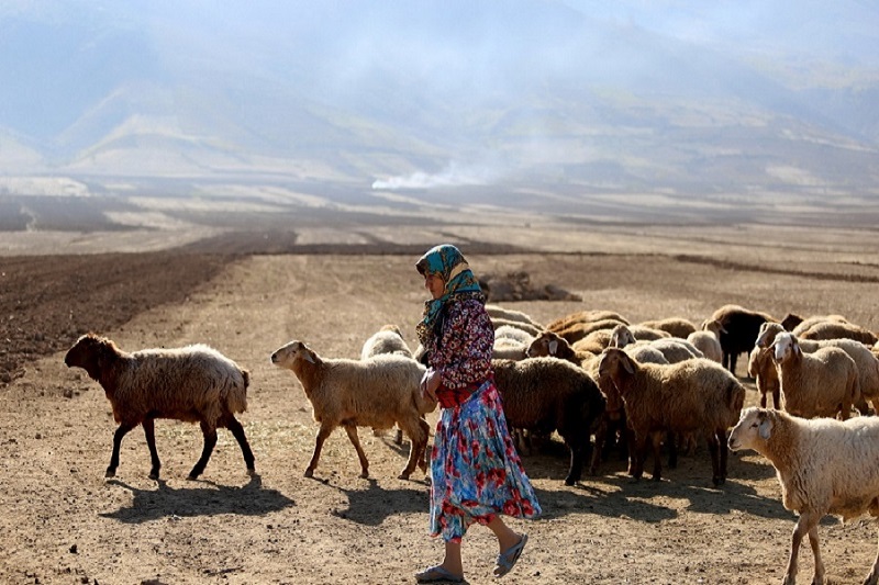 عزیمت دومین گروه مدیریت کنترل کوچ از سمیرم به استان فارس