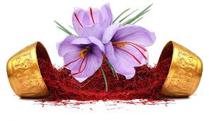 پرداخت ۶۰ درصد مطالبات زعفران&zwnj;کاران خراسان رضوی