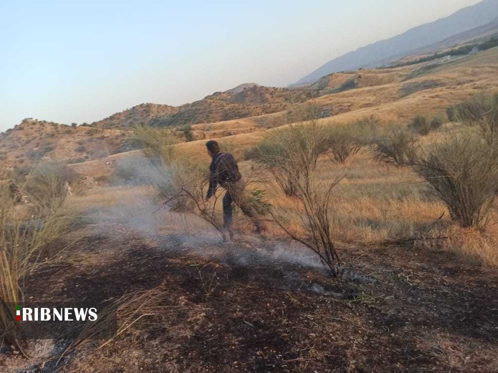 آتش سوزی در بادامستان‌های کهگیلویه