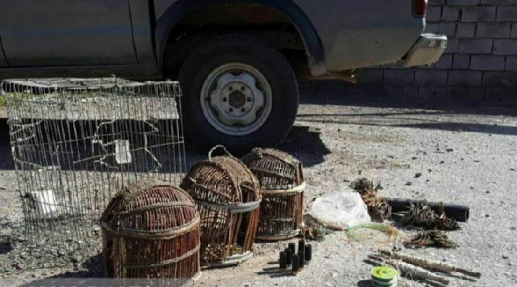 دستگیری آموزش دهنده  نحوه صید پرندگان در شبکه&zwnj;های مجازی در سرخس