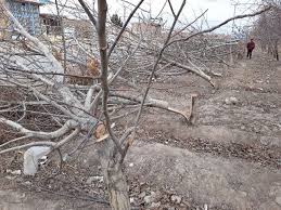 شکستن بال فرشتگان