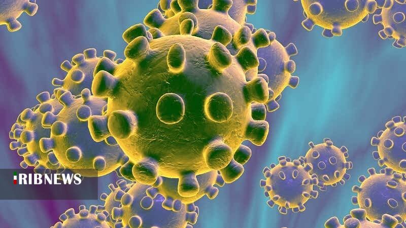 ابتلای به کرونا در استان زنجان ، باز هم روی عدد 3