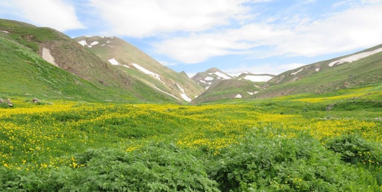 پنیر لیقوان؛ دارایی ارزشمند یک ملت