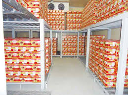 افزایش سه و نیم برابری ظرفیت سردخانه&zwnj;های خرما در استان بوشهر