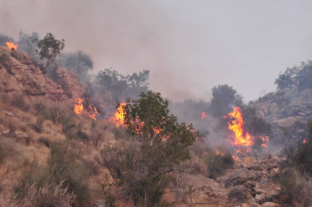 آتش در ارتفاعات افزر همچنان میتازد آتش در ارتفاعات افزر همچنان میتازد