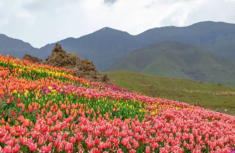 گردش مجازی در روستایی بر فراز ابرها