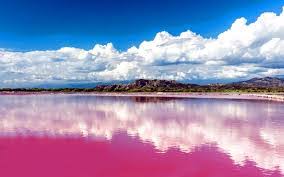 خلیج گواتر ، آخرین خشکی تا قطب جنوب