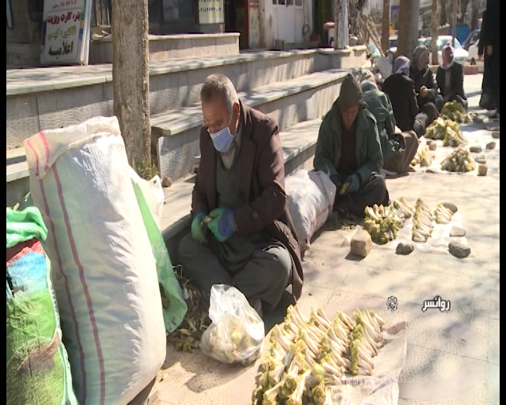 گیاهانی که رو به تمام شدن هستند