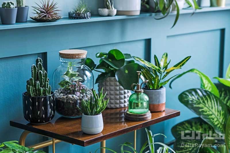 ۵ چیزی که هرگز نباید در خانه خود نگه دارید!