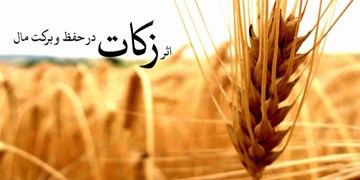 رشد ۳۱ درصدی صدقات؛ زکات رکورد زد