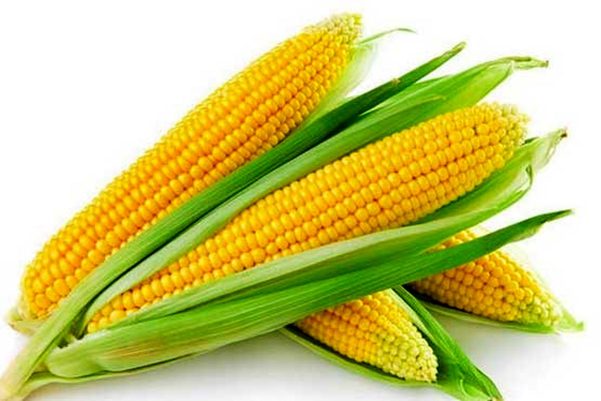 سبزیجاتی که چاق&zwnj;کننده هستند