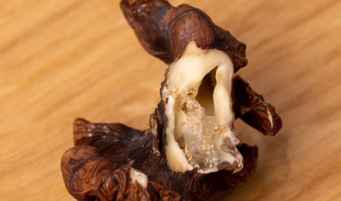 نگهداری از مغز گردو