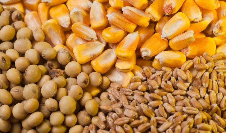 اعلام قیمت جدید ۳ نهاده دامی