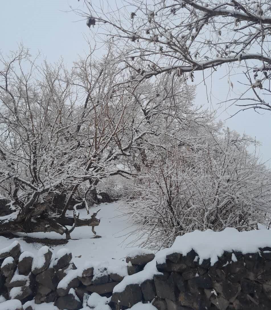 روز برفی در روستای پیرانج