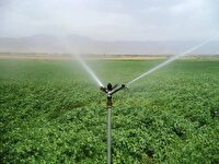 ۱۹ ساعت برق رایگان برای کشاورزان صرفه‌جو در چهارمحال و بختیاری