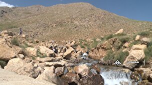 طبیعت چشمه زنه هفشجان میزبان گردشگران