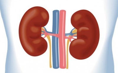 ۵۰ درصد جراحیهای کلیه غیر تهاجمی است ۵۰ درصد جراحیهای کلیه غیر تهاجمی است