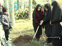 آغاز کاشت ۳ میلیون نهال در اردبیل همزمان با پویش سراسری «در سایه مادر»