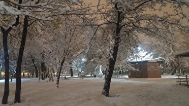 سردشت پربارش‌ترین شهر آذربایجان‌غربی در ۲۴ ساعت گذشته