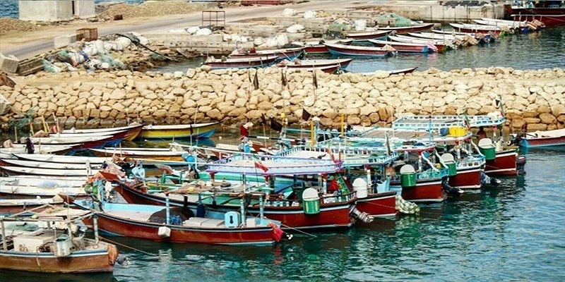 رشد ۸۷ درصدی تخلیه کالا در بندر تجاری سجافی هندیجان