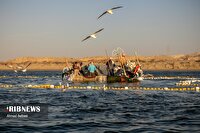 افزایش سرعت باد و گذر ابر در مناطق دریایی هرمزگان، ۲۷ دی