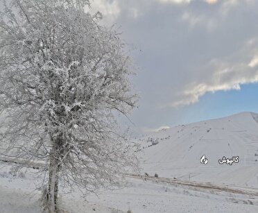 تداوم بارش برف در ارتفاعات سمنان