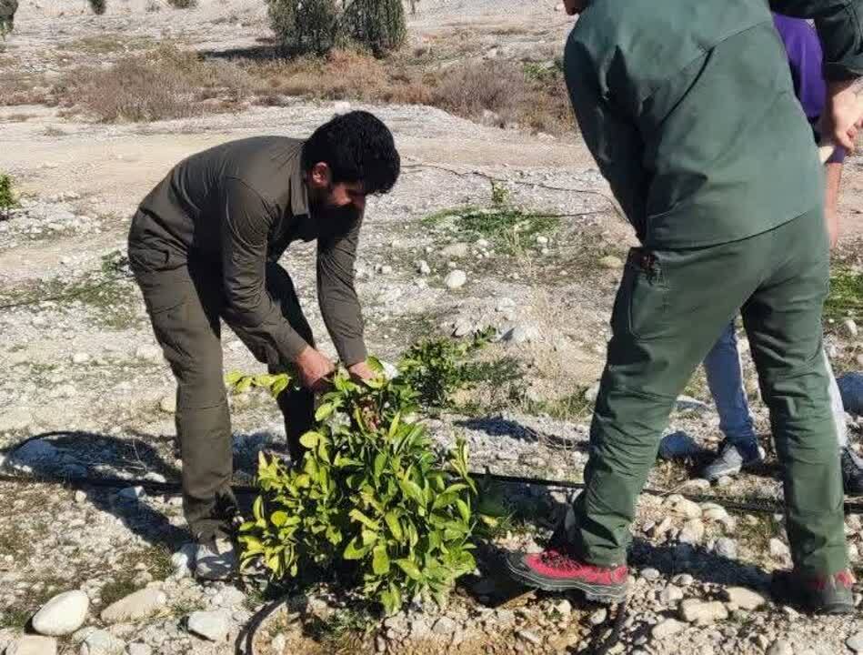 اجرای حکم قلع و قمع در ۴۶۳۱ متر مربع از اراضی ملی گچساران