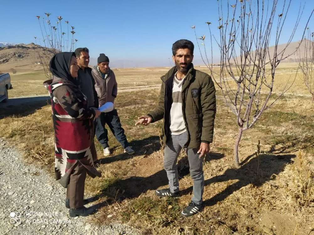 پروپ برداری جوندگان در اراضی شهرستان بروجن