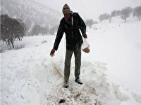 دادن غذا به حیوانات در فصل سرما، ممنوع