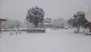 بارش برف زنجان را فرا گرفت