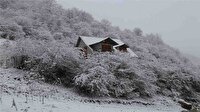 نقاشی زمستان بر بوم طبیعت، گلستان سپیدپوش شد