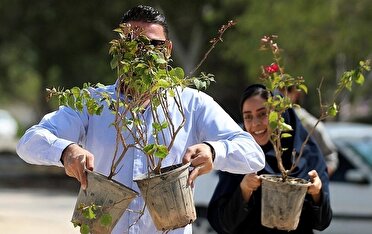 کاشت ۵۰ اصله نهال در پارک ساحلی طلوع کیش