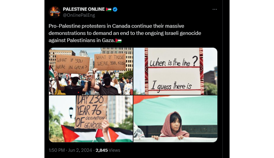 حضور اقشار مختلف  مردم آمریکا در تظاهرات حمایت از فلسطین