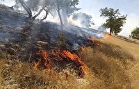 مهار آتش سوزی اراضی منطقه عبدالرزاق سقز