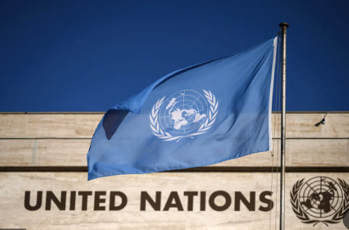 توافق در سازمان ملل بر سر امضای پیمان مبارزه با زیست‌دزدی