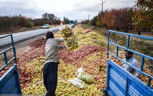 انباشت سیب در حریم جاده‌ها ممنوع است