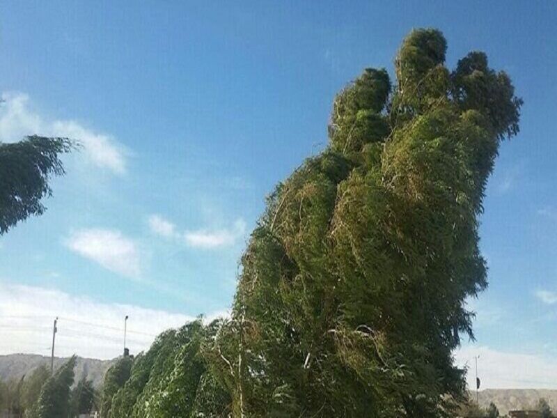 شدت گرفتن وزش باد در برخی از مناطق خراسان رضوی