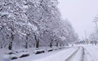 پیش بینی بارش برف در مناطق شهری گلستان تا صبح فردا