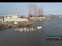 ظرفیت های توسعه در روستای گولی نمین