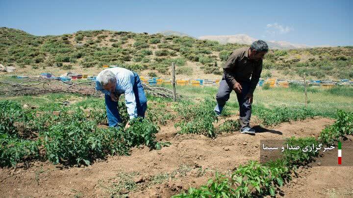 سرشماری  بیش از ۹۸ درصدی کشاورزان  لرستانی